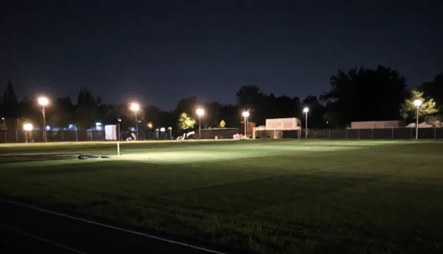 组织优化中选型关注点对比，实际取舍分析
